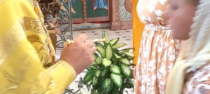 Пребывание чтимого списка иконы «Никола Зарайский» в Троицком храме села Пирочи Пребывание чтимого списка иконы «Никола Зарайский» в Троицком храме села Пирочи
